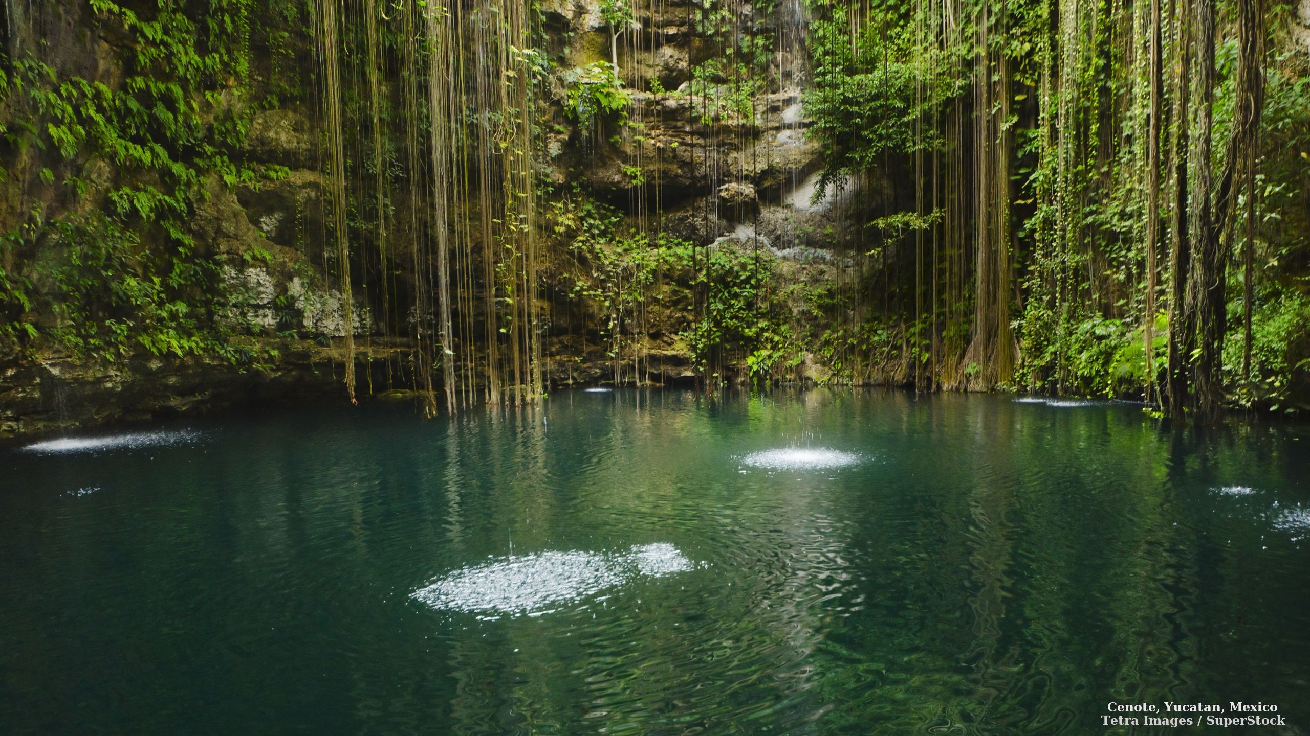 Cenote Yucatan Mexico Webshots A Is Natural Pit Or
