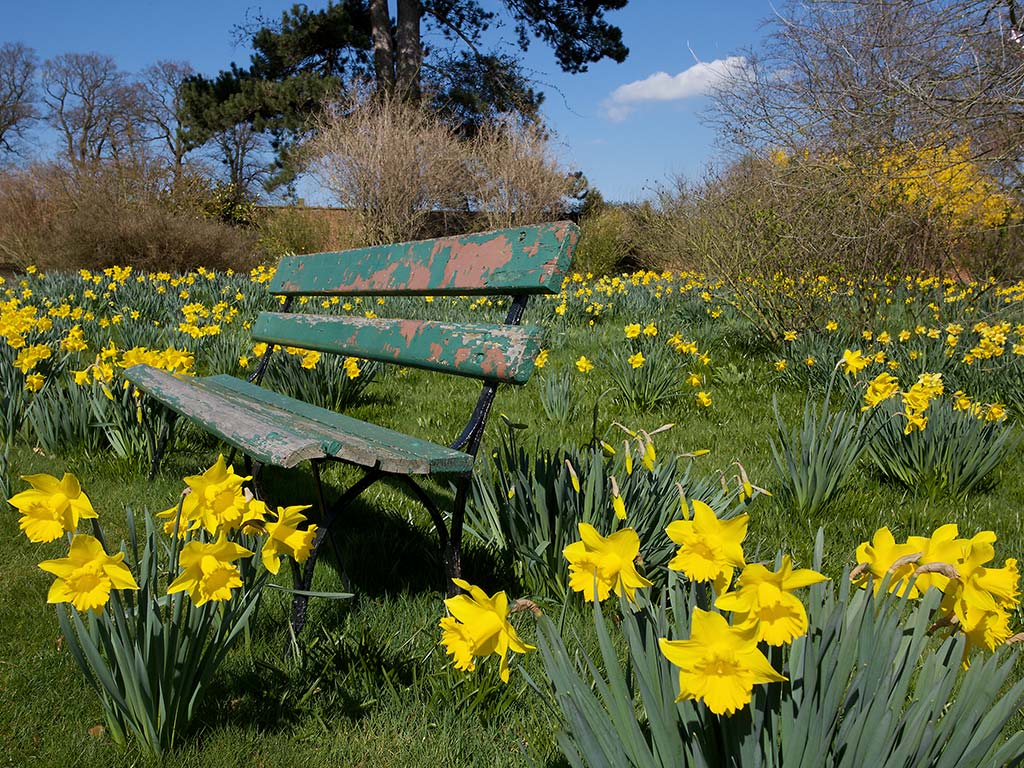 download spring wallpaper desktop which is under the spring wallpapers