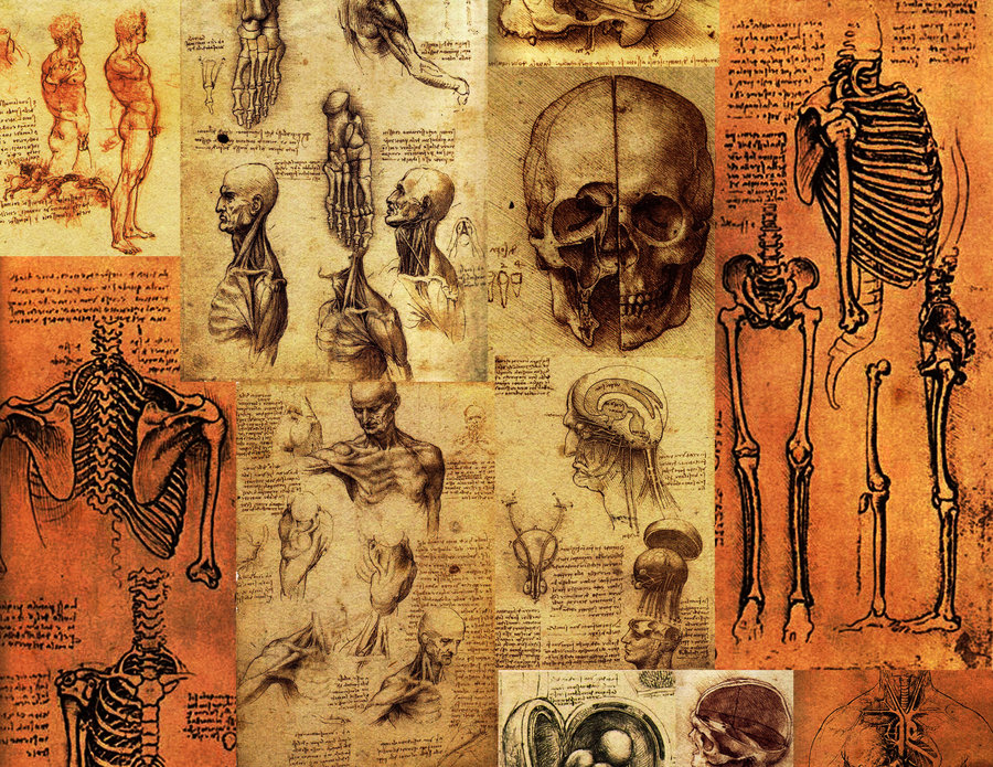 73+] Da Vinci Wallpaper - WallpaperSafari