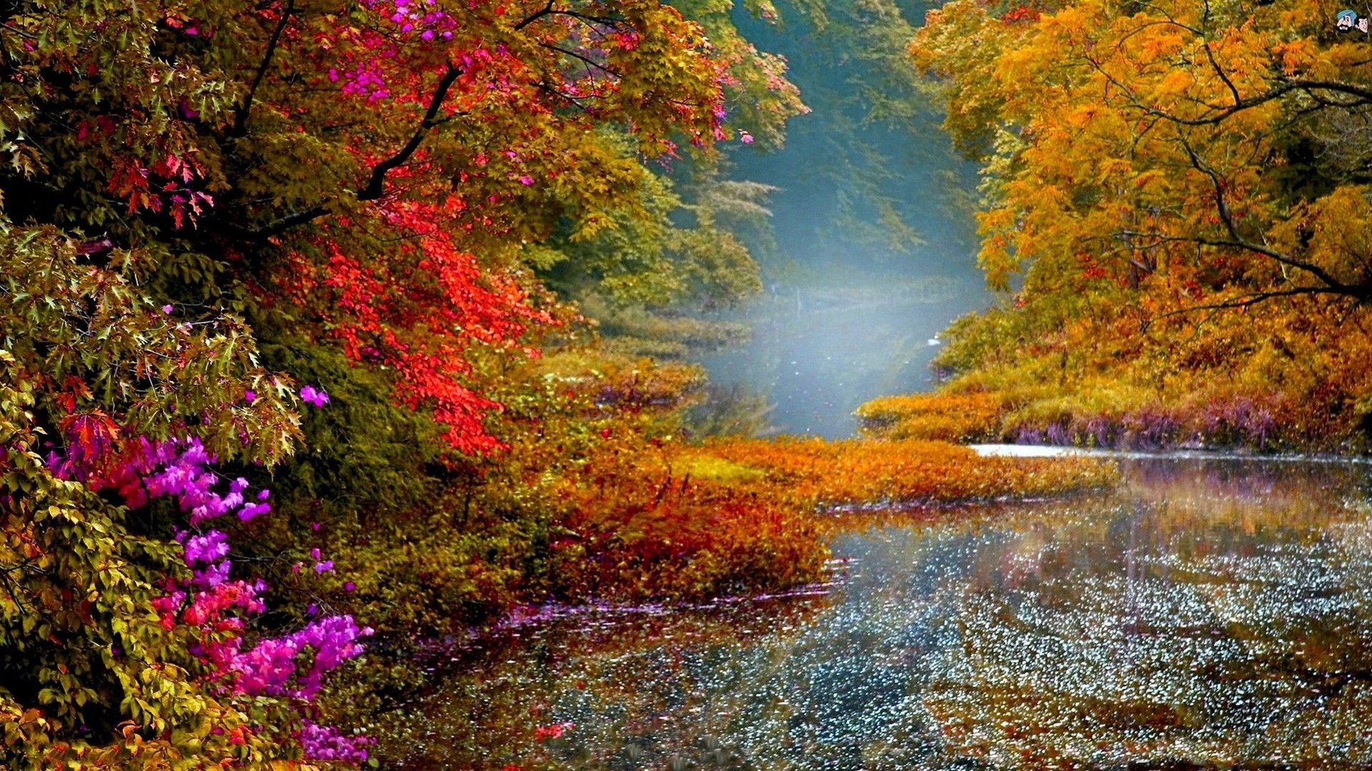 Vibrant Autumn Bliss Wallpaper
