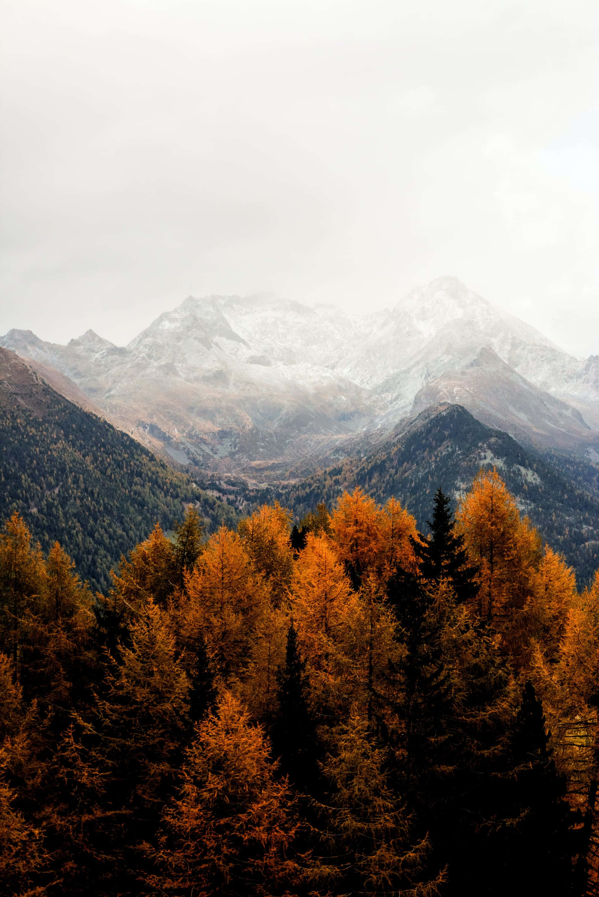 Mountain Aesthetic Wallpaper