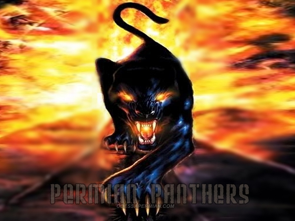 Cool Panther Wallpaper