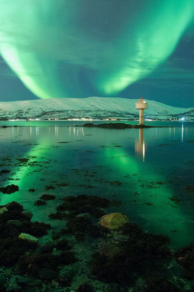 Northern Lights Aurora Borealis In Troms Norway With Image