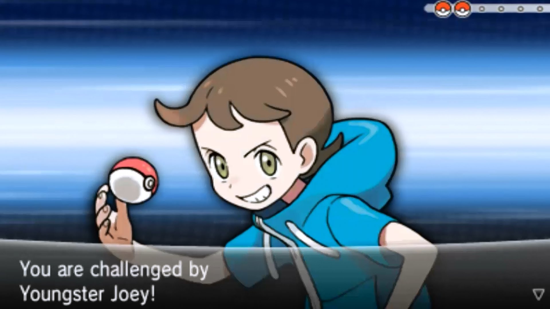 Pokemon Xy Zigzagoon HD Wallpaper Animewp