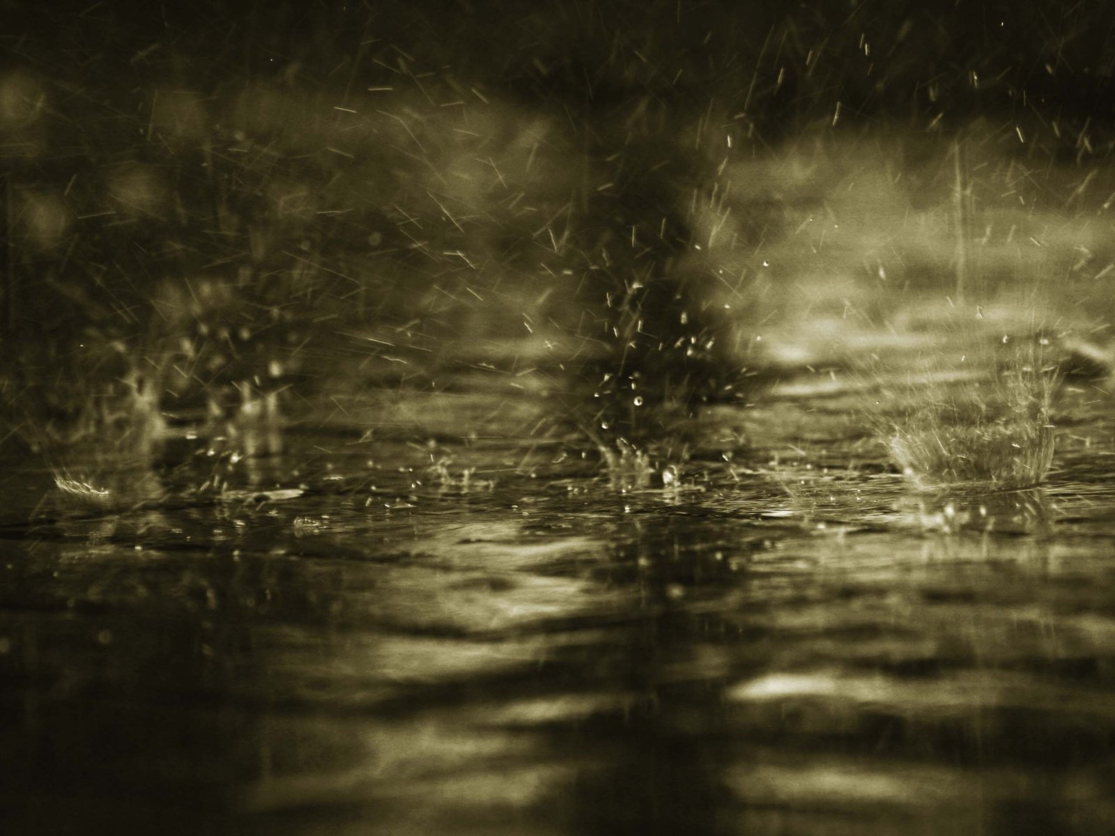 WALLPAPERS rain wallpapers love wallpapers alone