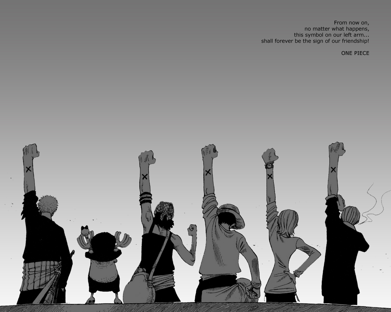 Straw Hat Crew Friendship Wallpaper   One Piece Anime