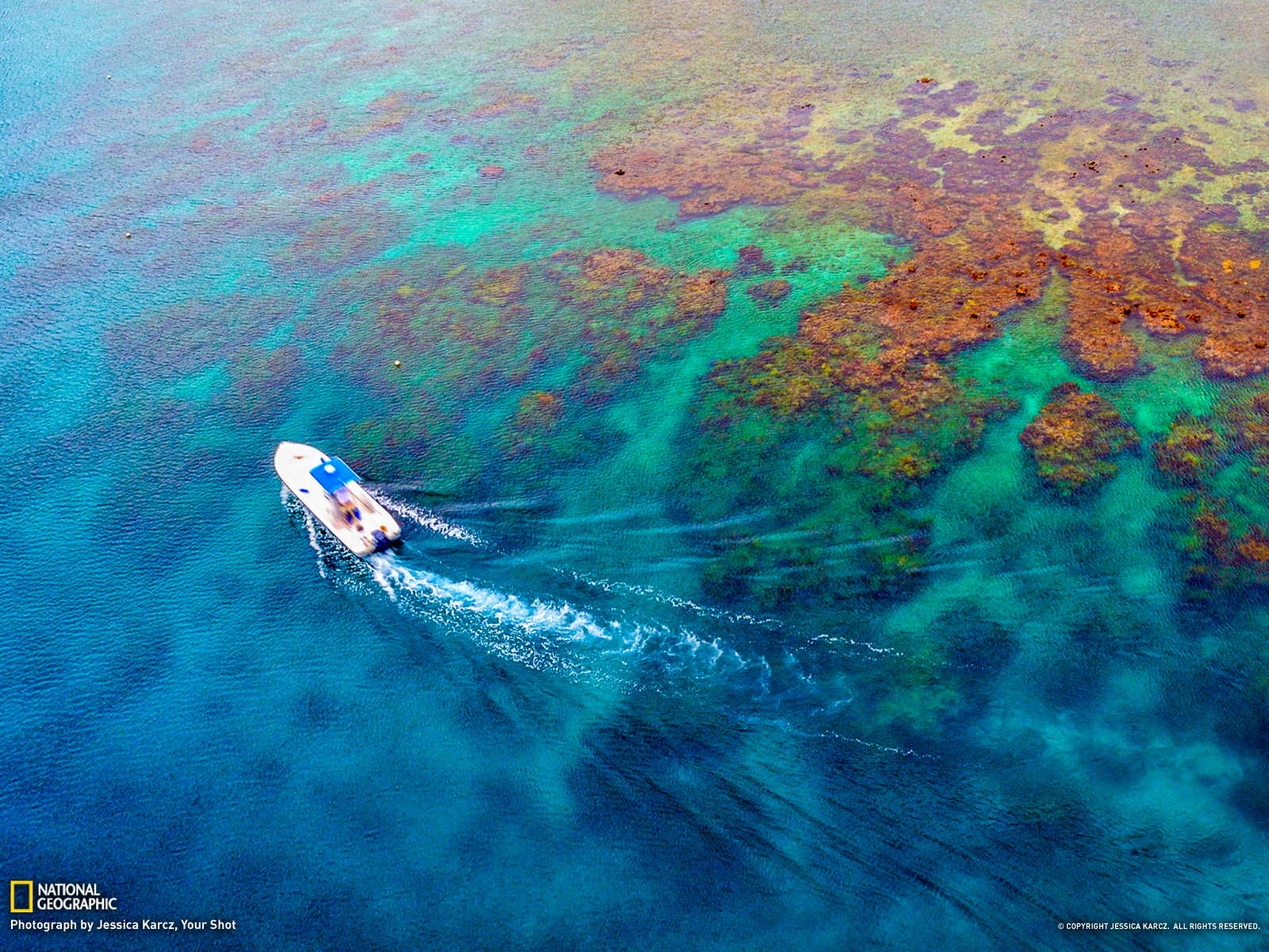 Coral Reef Picture Ocean Wallpaper National Geographic Photo Of