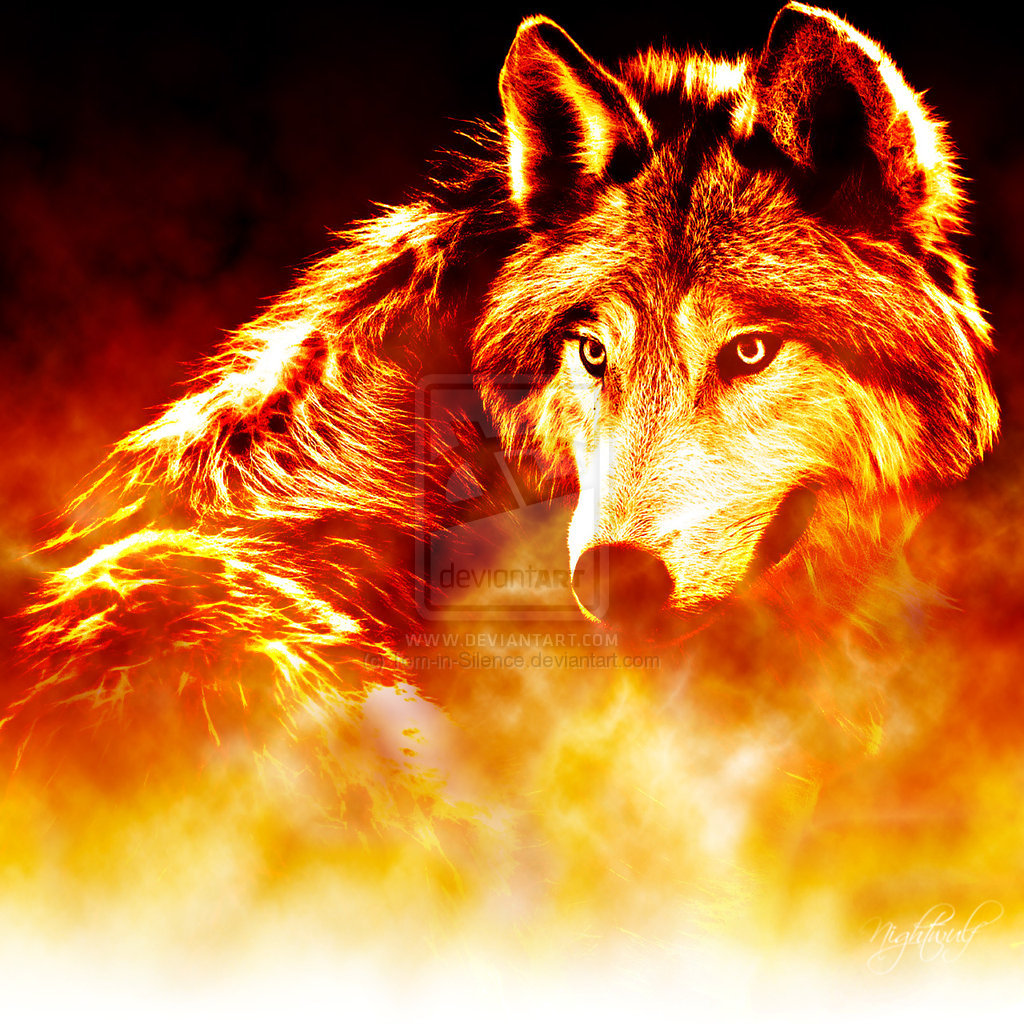 Related Pictures wolf wallpaper fire and ice the wolf pack 17804187