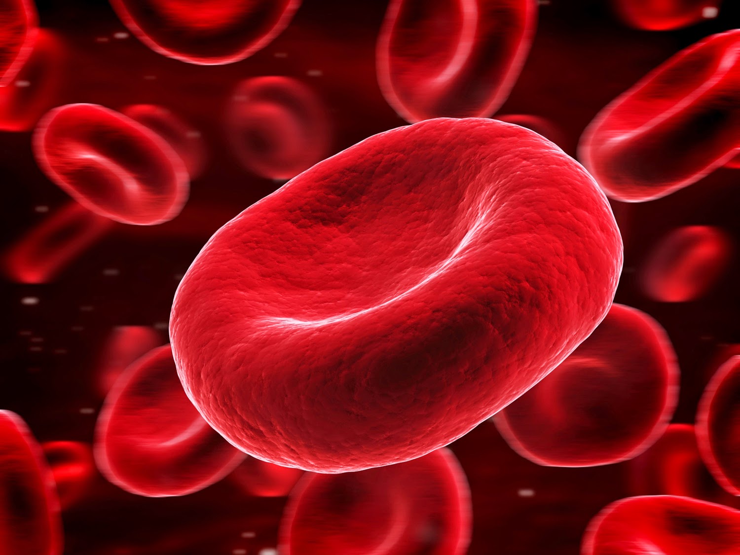 Red Blood Cells Wallpaper Id Wallpapervortex