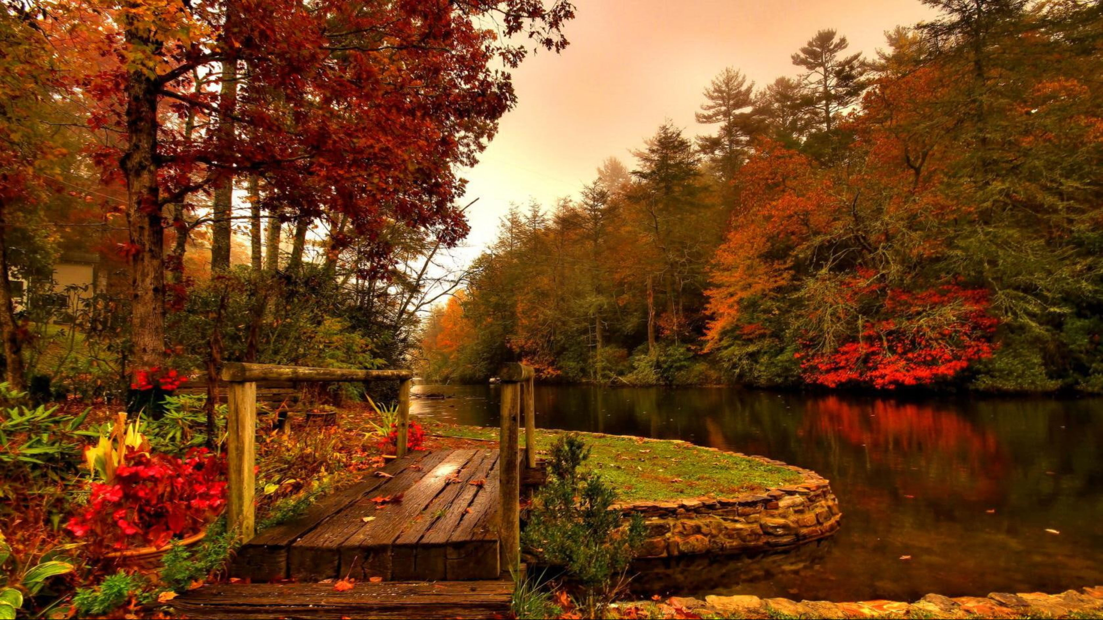 Body Of Water Surrounded By Autumn Fall Trees 4k HD Nature Wallpaper