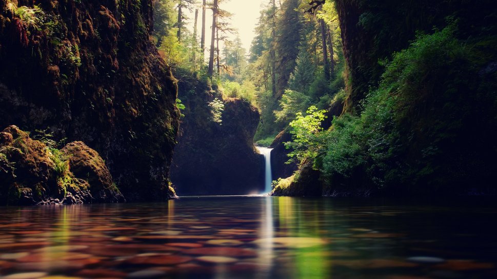 Mystical Forest Waterfall Wallpaper