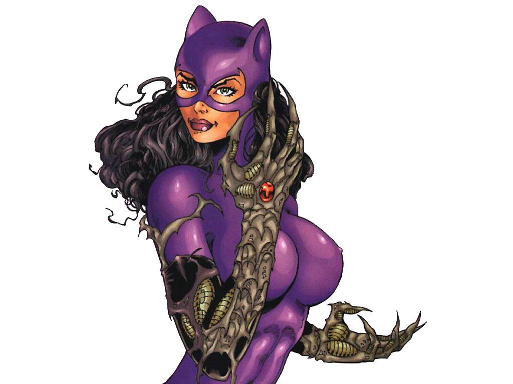Dc Ics Catwoman Cat Woman Picture