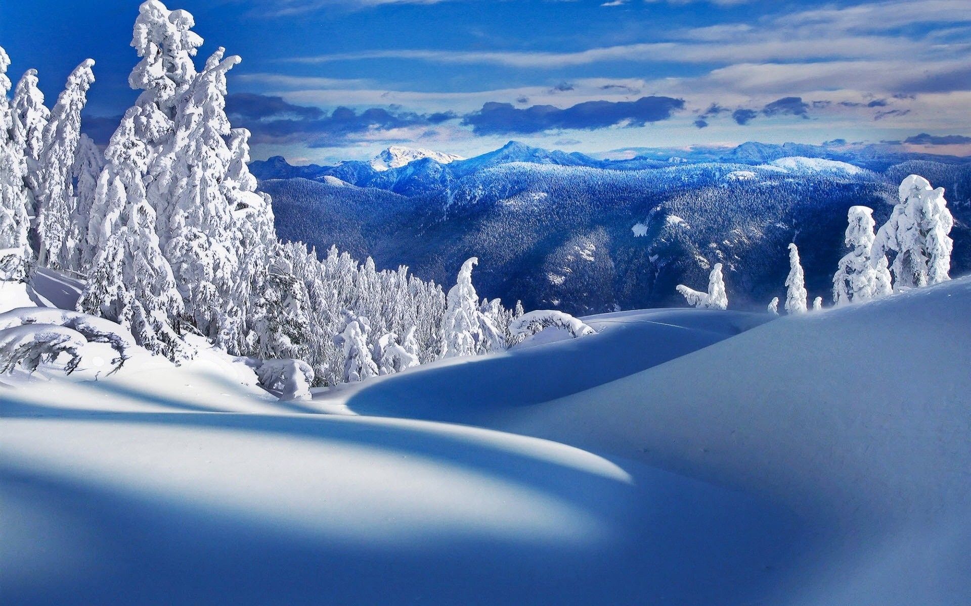35 Winter Snow Scenes Desktop Wallpapers   Download at WallpaperBro