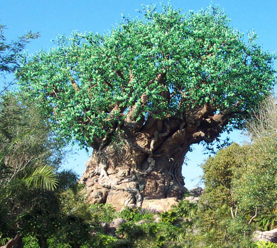 Disney Tree Of Life Jpg