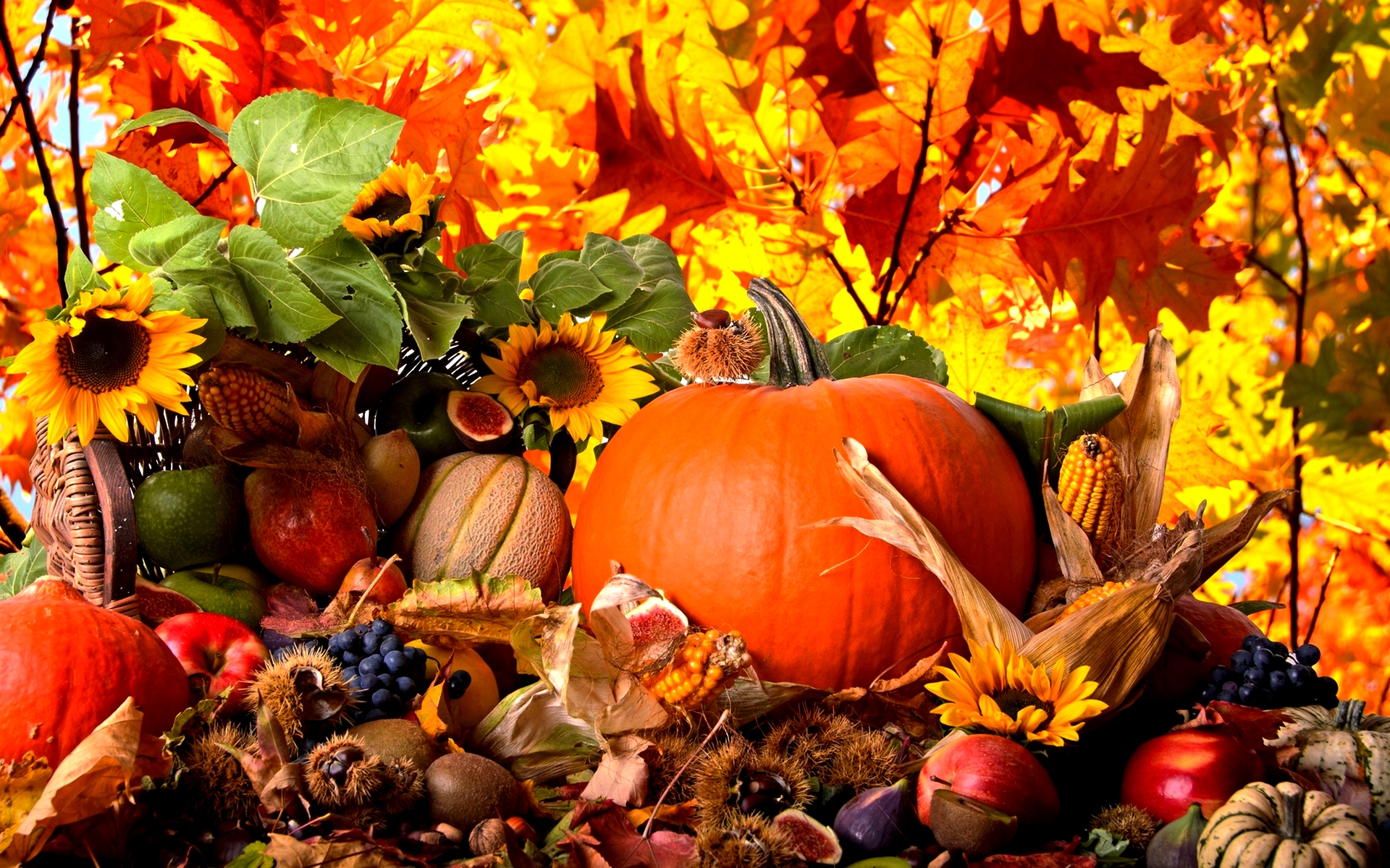 Fruits And Vegetables From Autumn Season HD Wallpaper