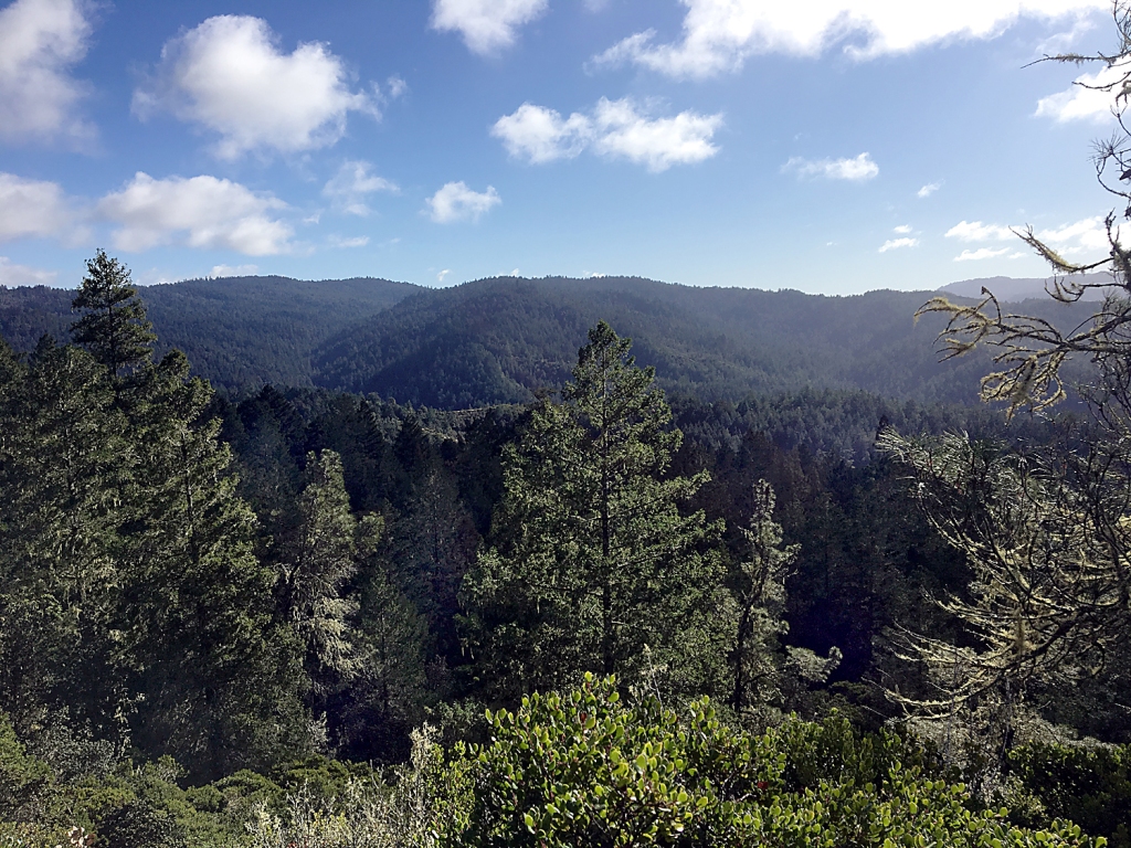 Deal Made To Protect More Than Acres Of Santa Cruz Mountains