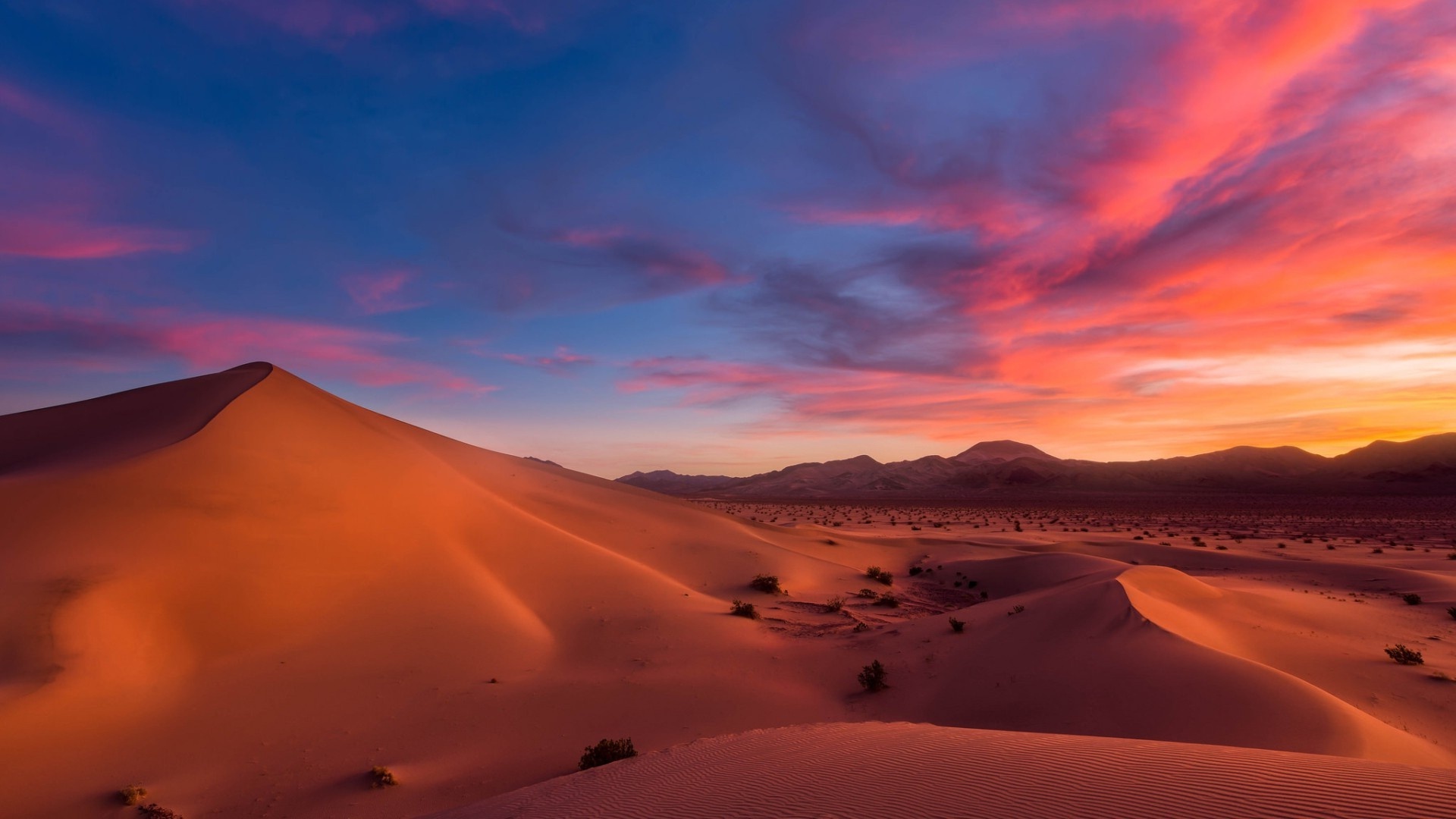 Wallpaper Shrubs Desert Sunset Relaxing Sands Resolution
