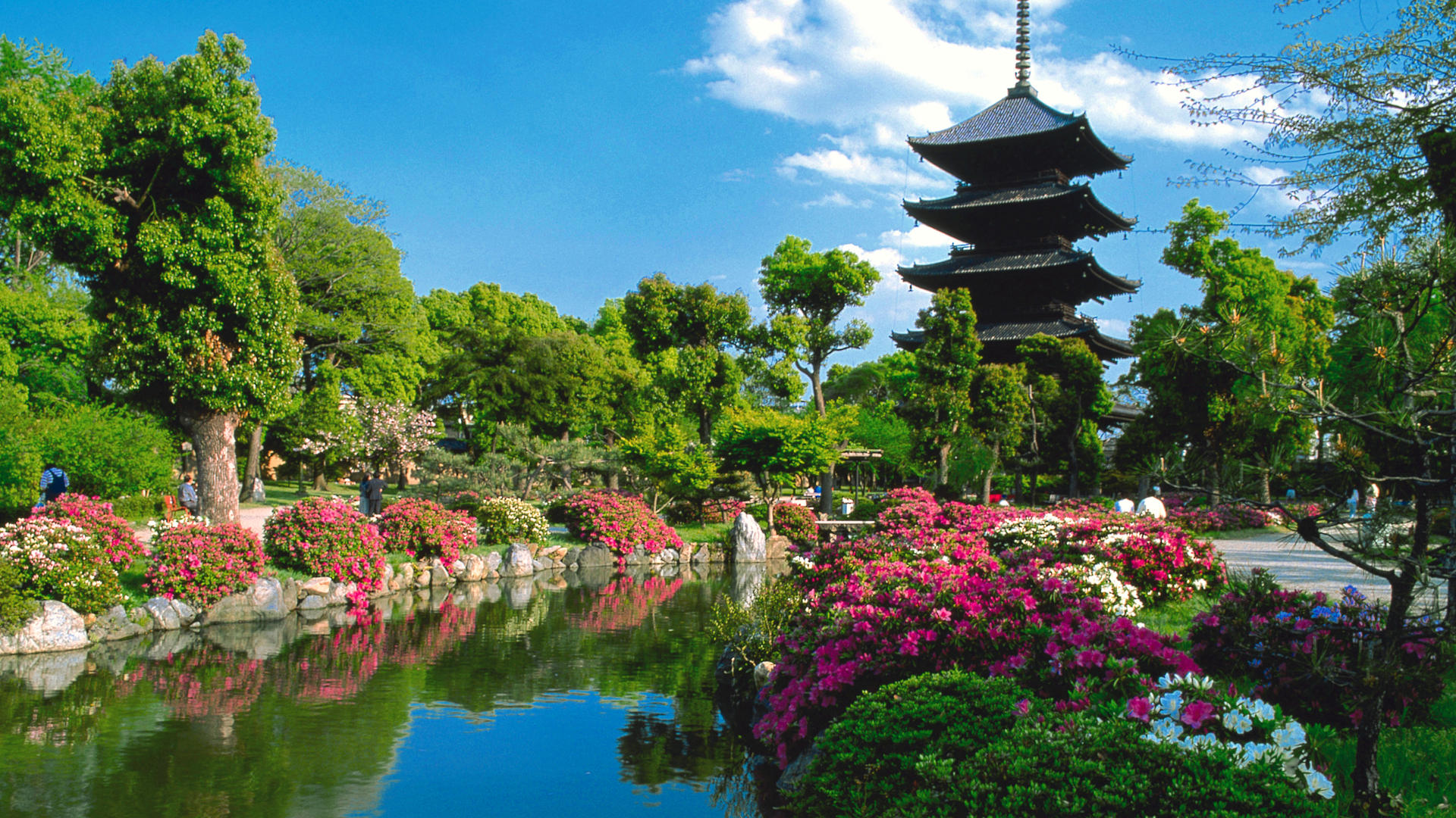 HD Wallpaper Toji Temple Lake Garden Kyoto Desktop