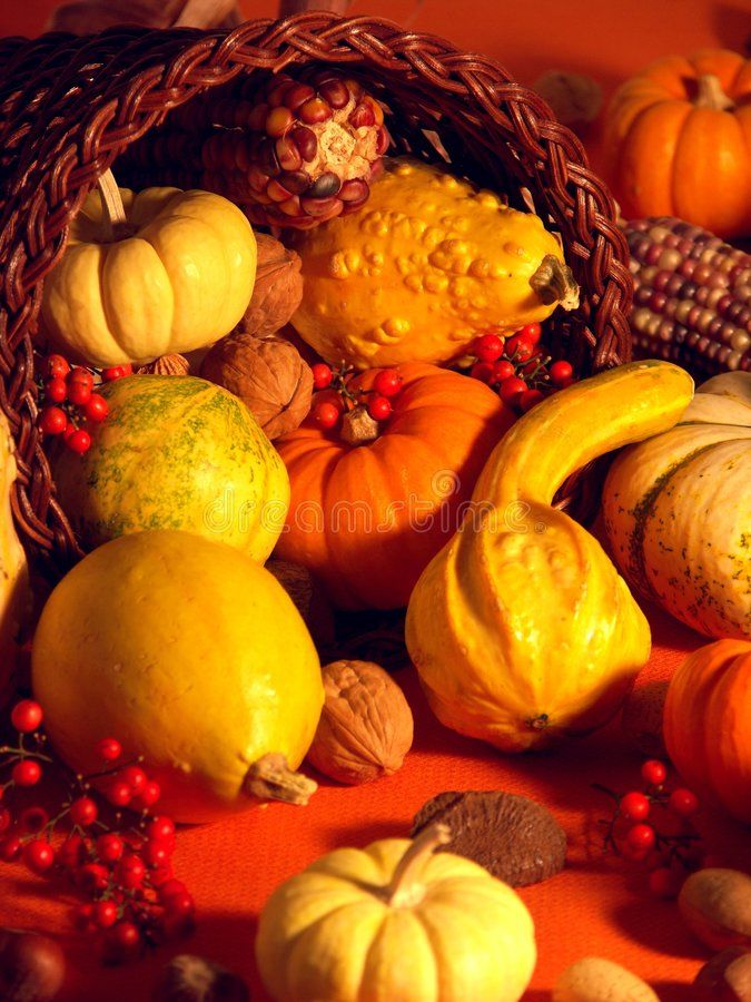 Free download Thanksgiving Scene 6 Thanksgiving scene with warm ...