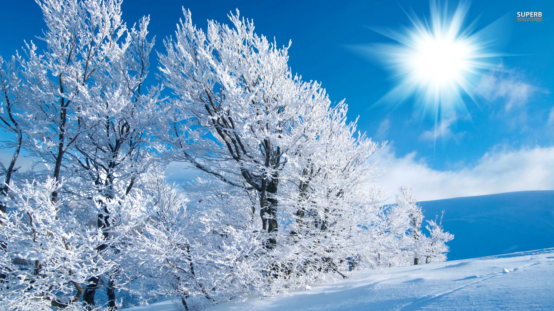Winter Wallpaper