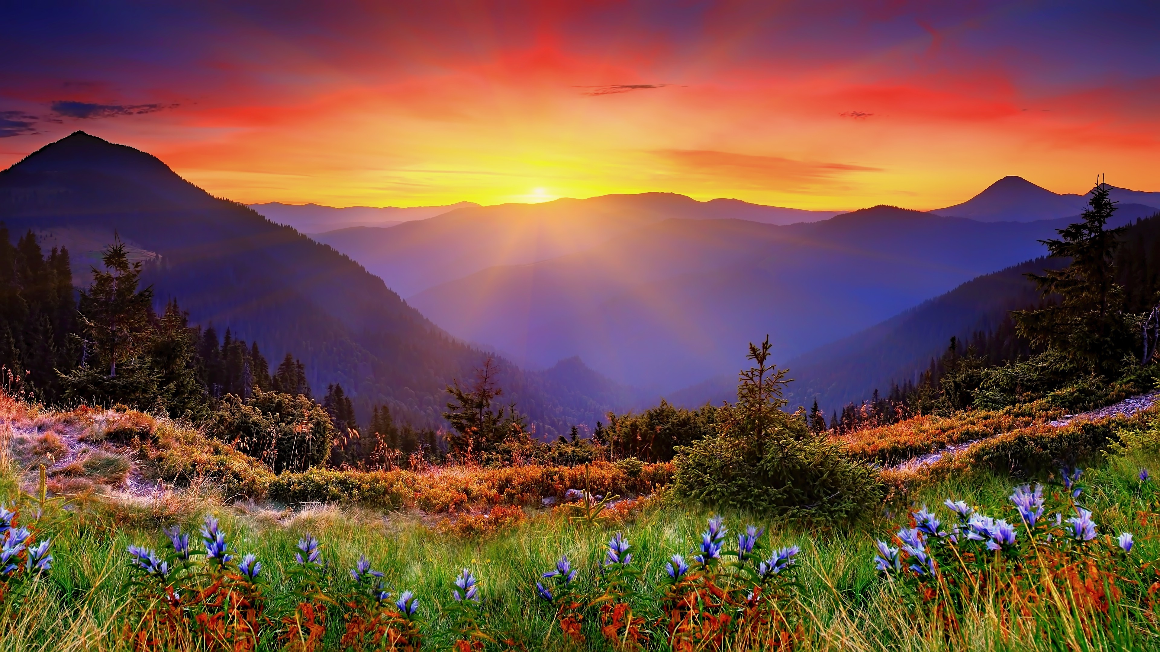 New Zealand Landscape Wallpaper HD