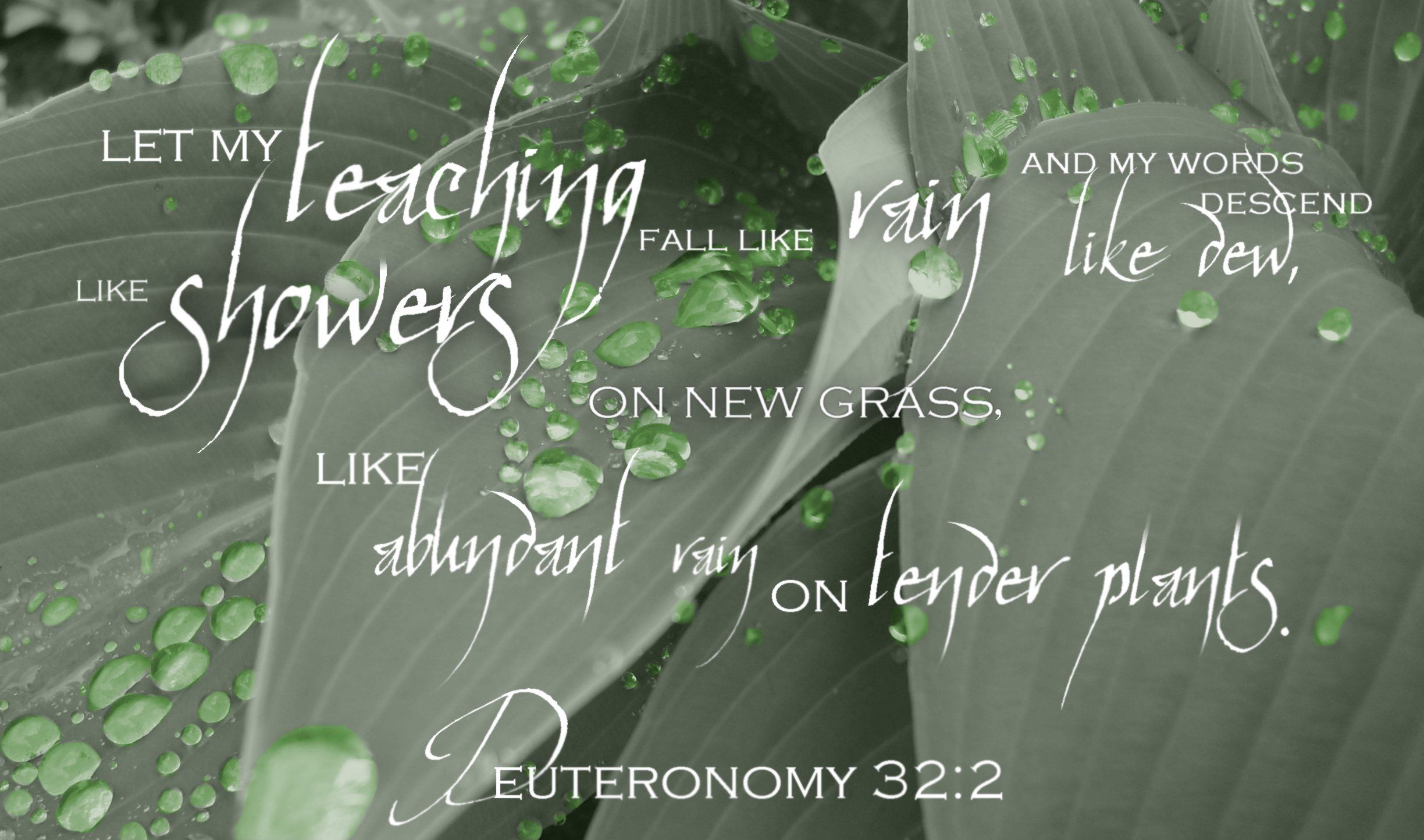 Deuteronomy HD Wallpaper Background Image Id