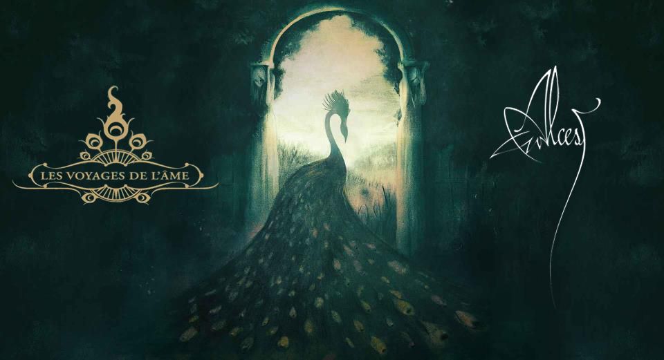 Music, Alcest, HD wallpaper | Peakpx