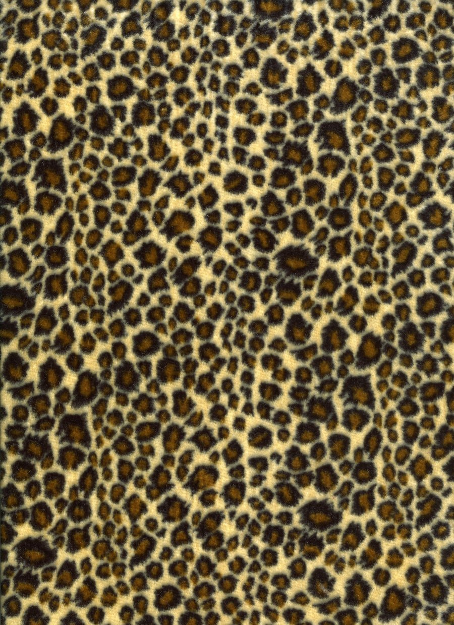Leopard Print Wallpaper   Desktop Backgrounds 900x1239