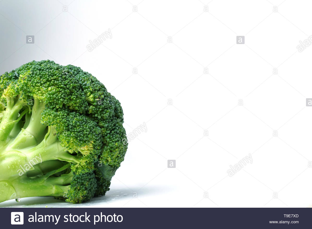 Green Broccoli On White Isolate Background In The Lower Left