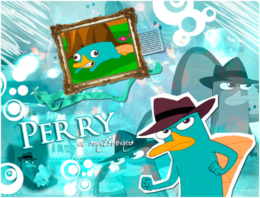 Wallpaper Perry The Platypus By Kittyshun09