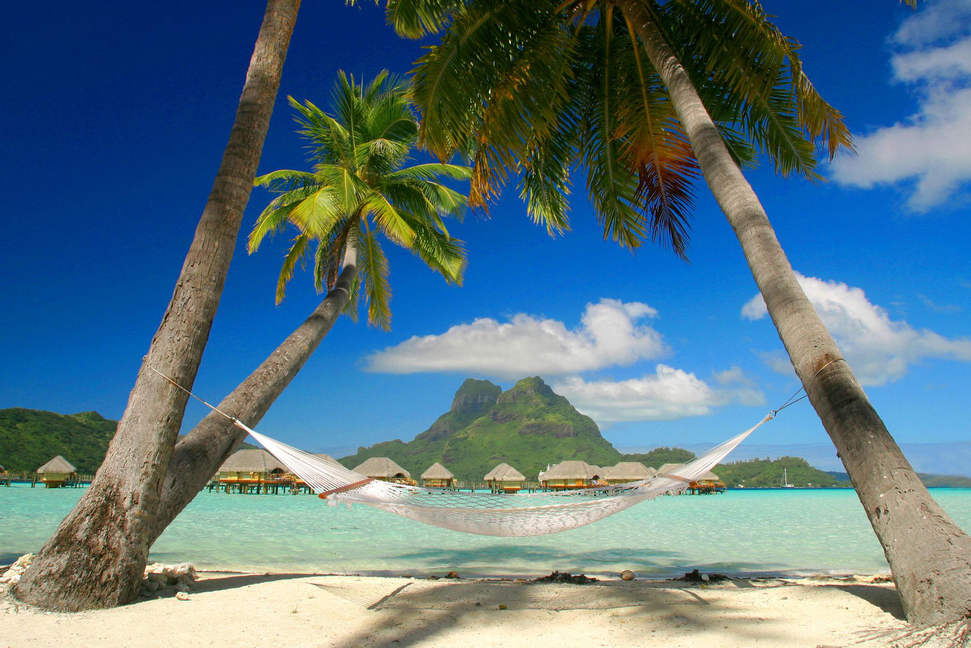 tropical island desktop background