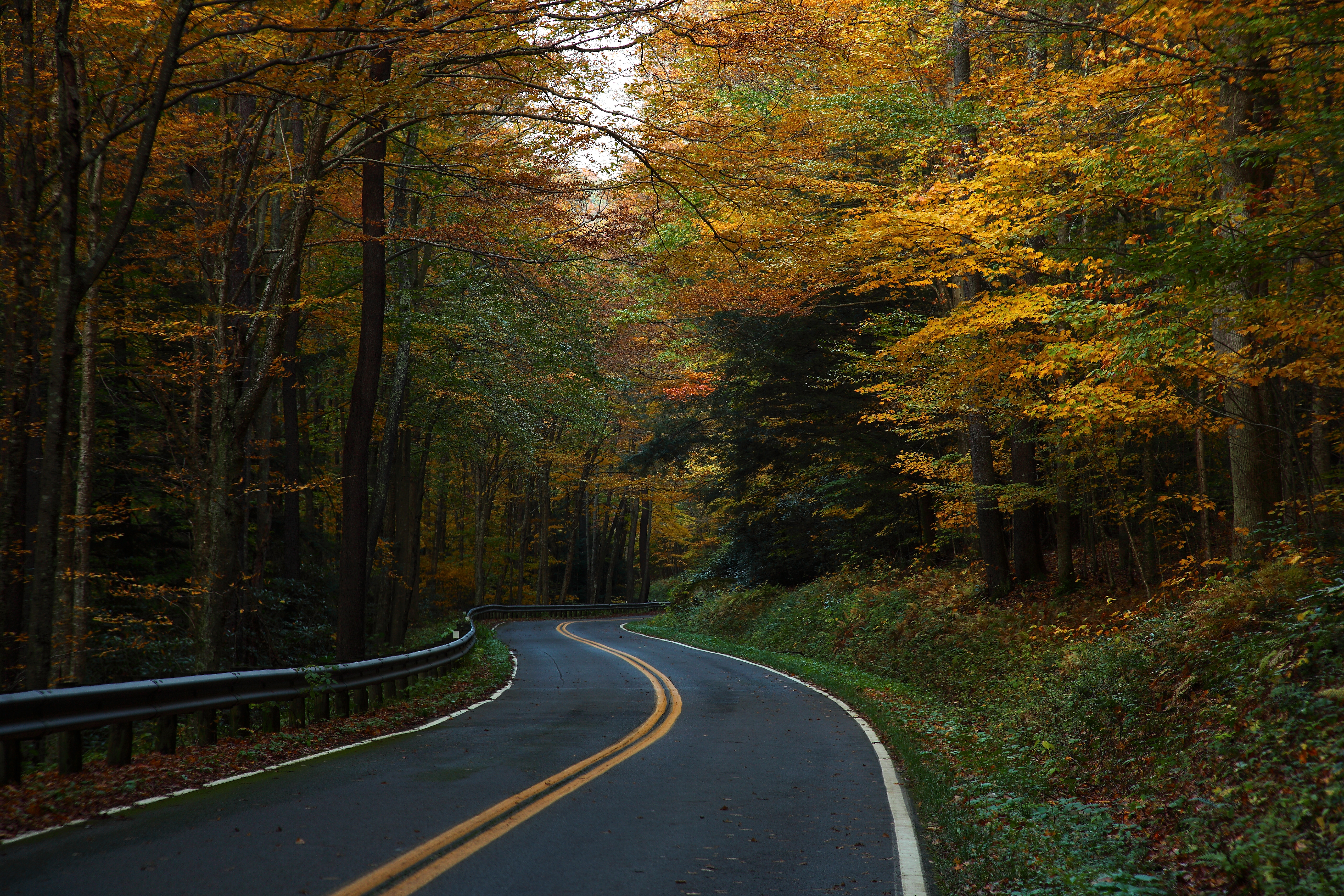 West Virginia Winding Autumn Trees Country Road Structures