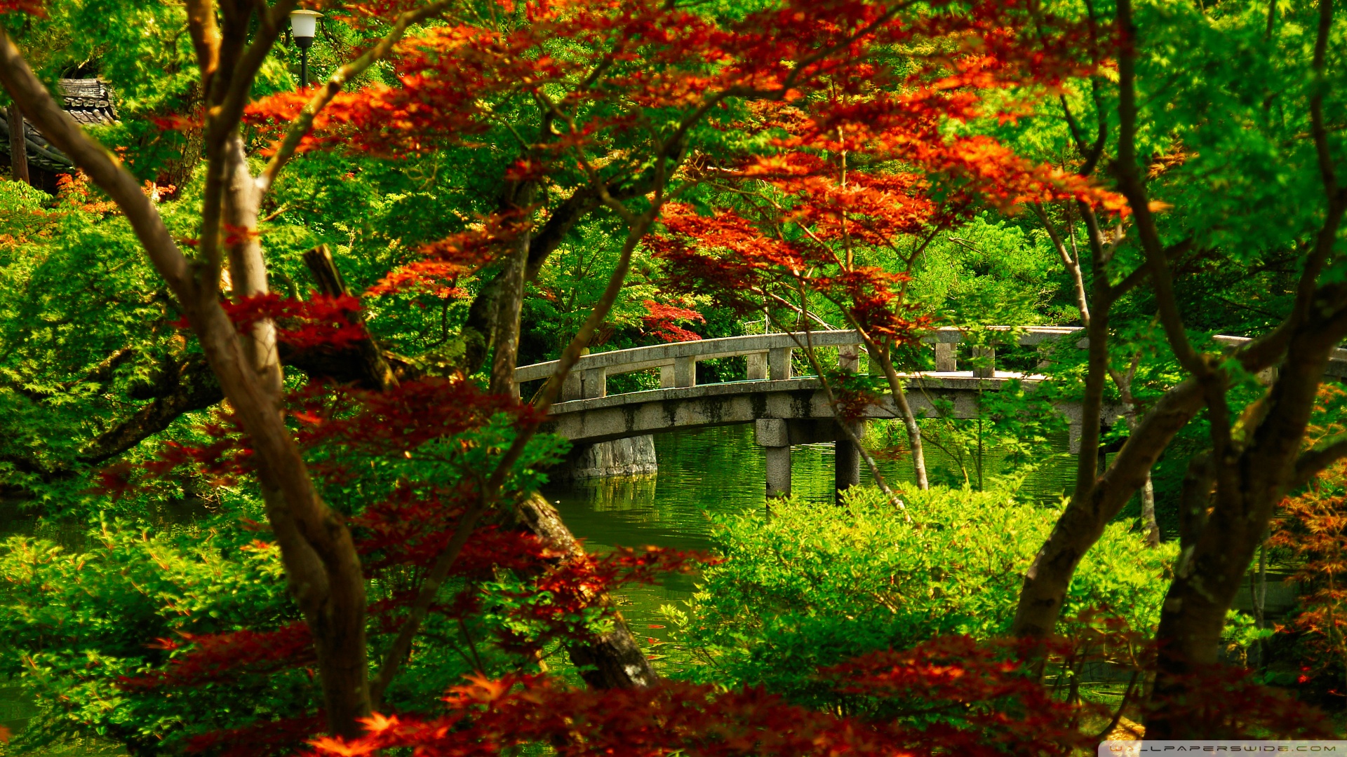 Japanese Garden Kyoto Wallpaper