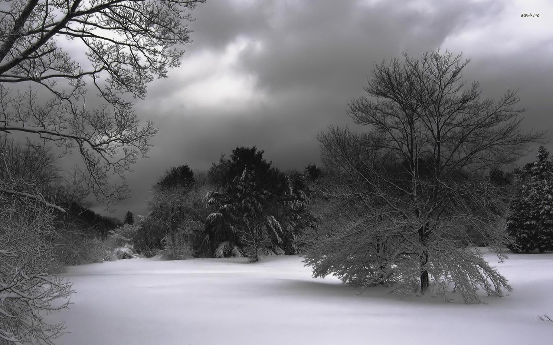 Winter Scenery Wallpaper High Definition
