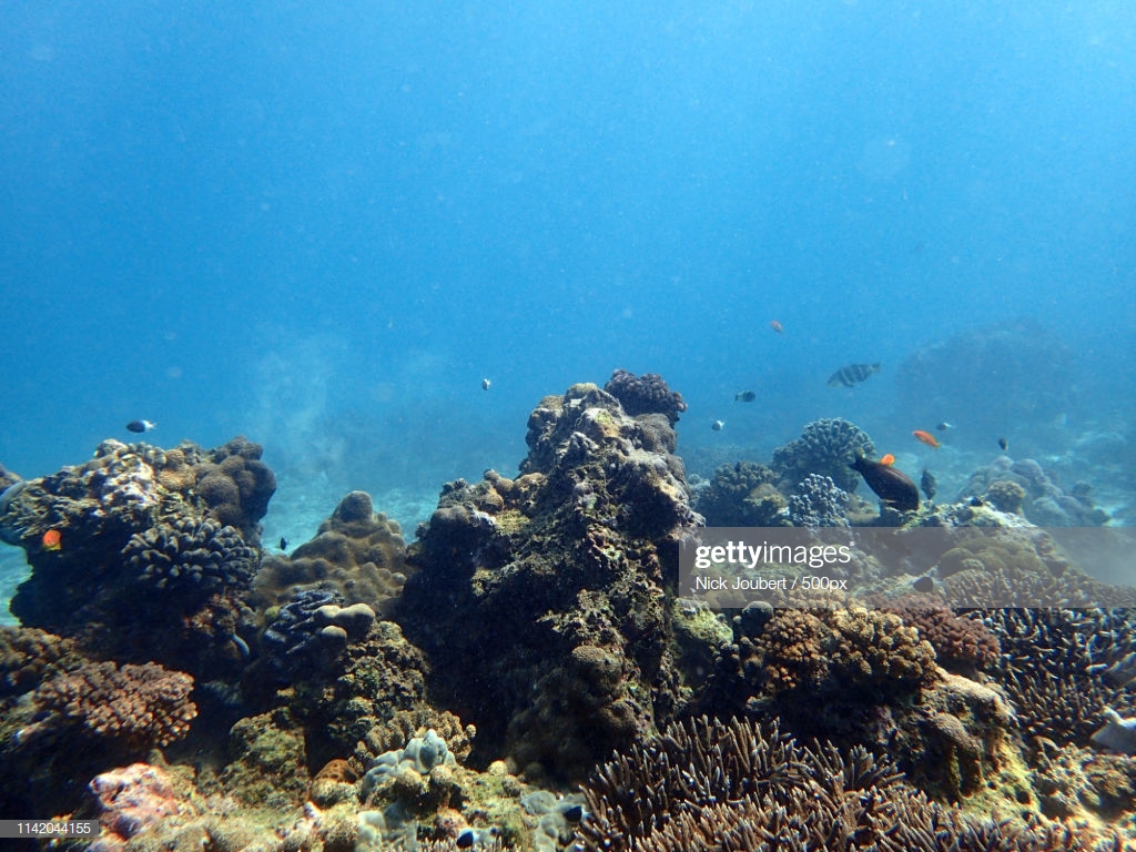 Two Mile Reef On Bazaruto Archipelago Stock Photo Getty Image