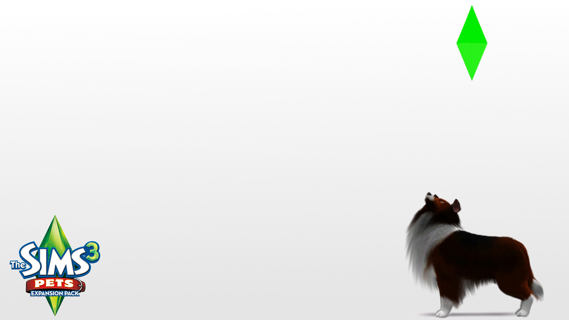 Sims Pets Sheltie Plumbob Wallpaper By Crestielover