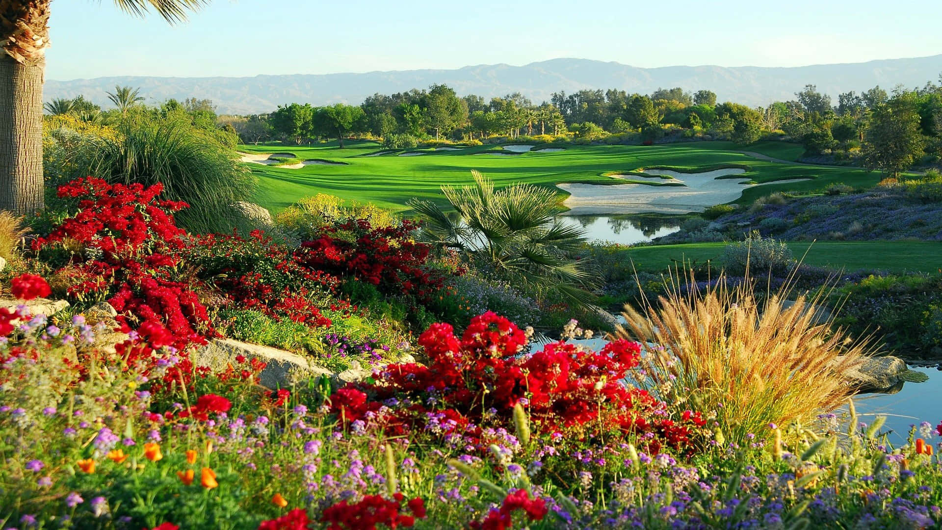 HD Golf iPhone Lock Screen Wallpaper