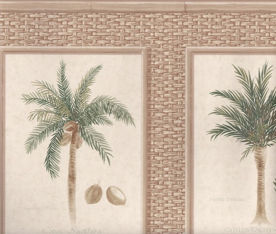 Brown Bamboo Palm Trees Wallpaper Border Traditional
