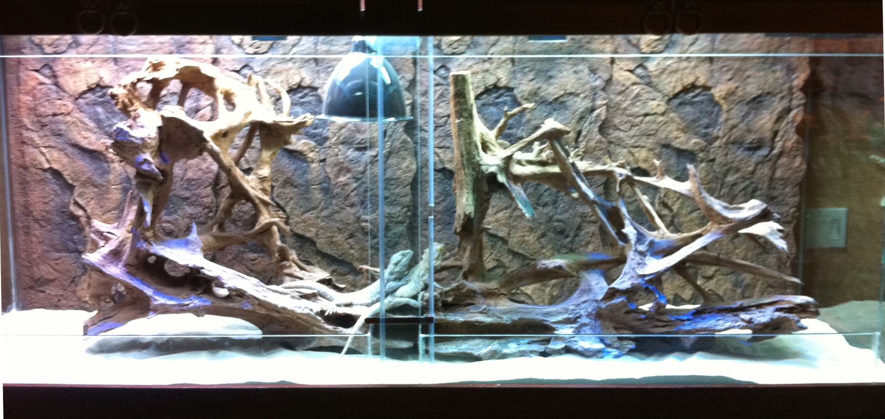 Background Natural 3d And Driftwood For Your Aquarium