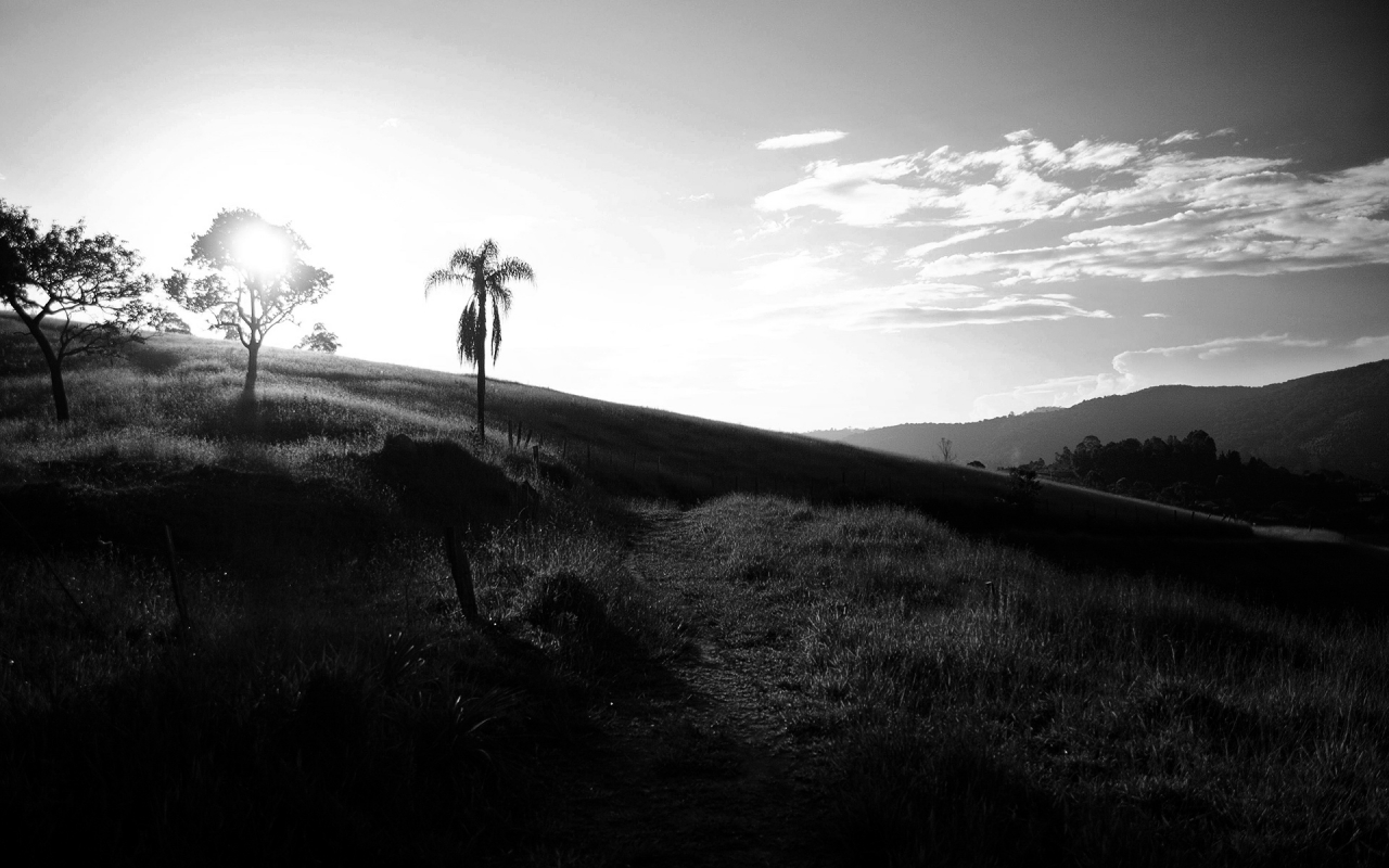 Super Black And White Sunset Wallpaper High Definition