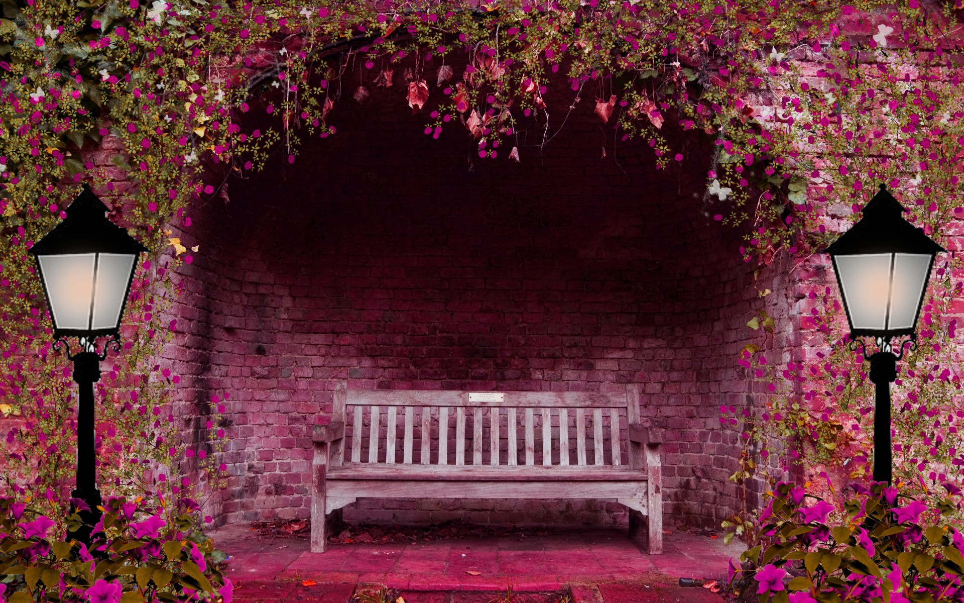 Bench And Pink Flowers HD Wallpaper Background Image