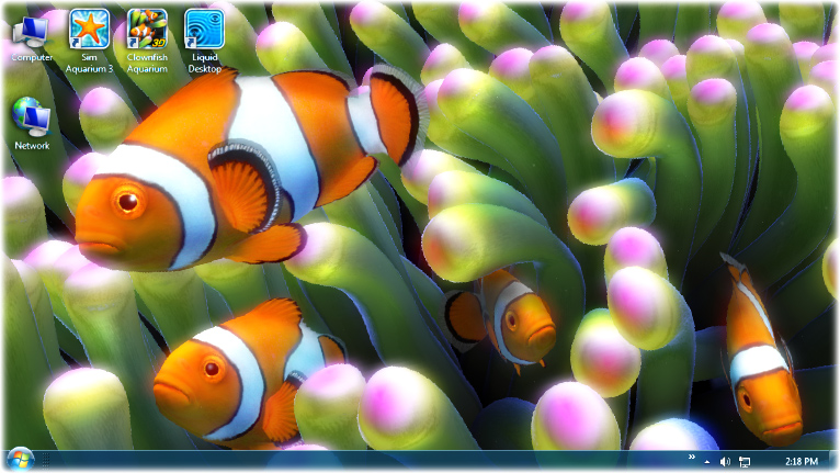 Clownfish Aquarium Is The World S Most Realistic Interactive