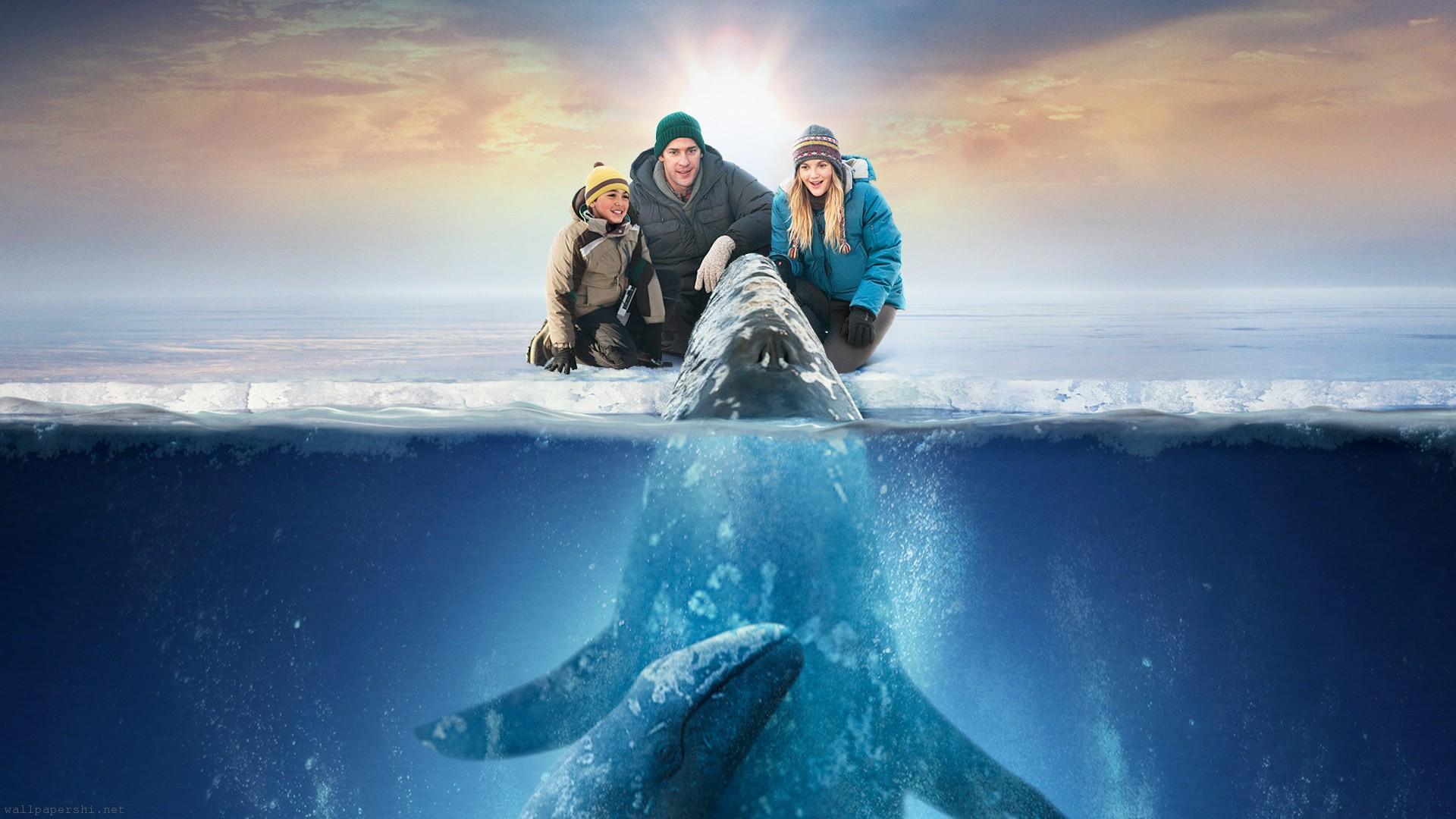 Big Miracle HD Wallpaper Background Image Id