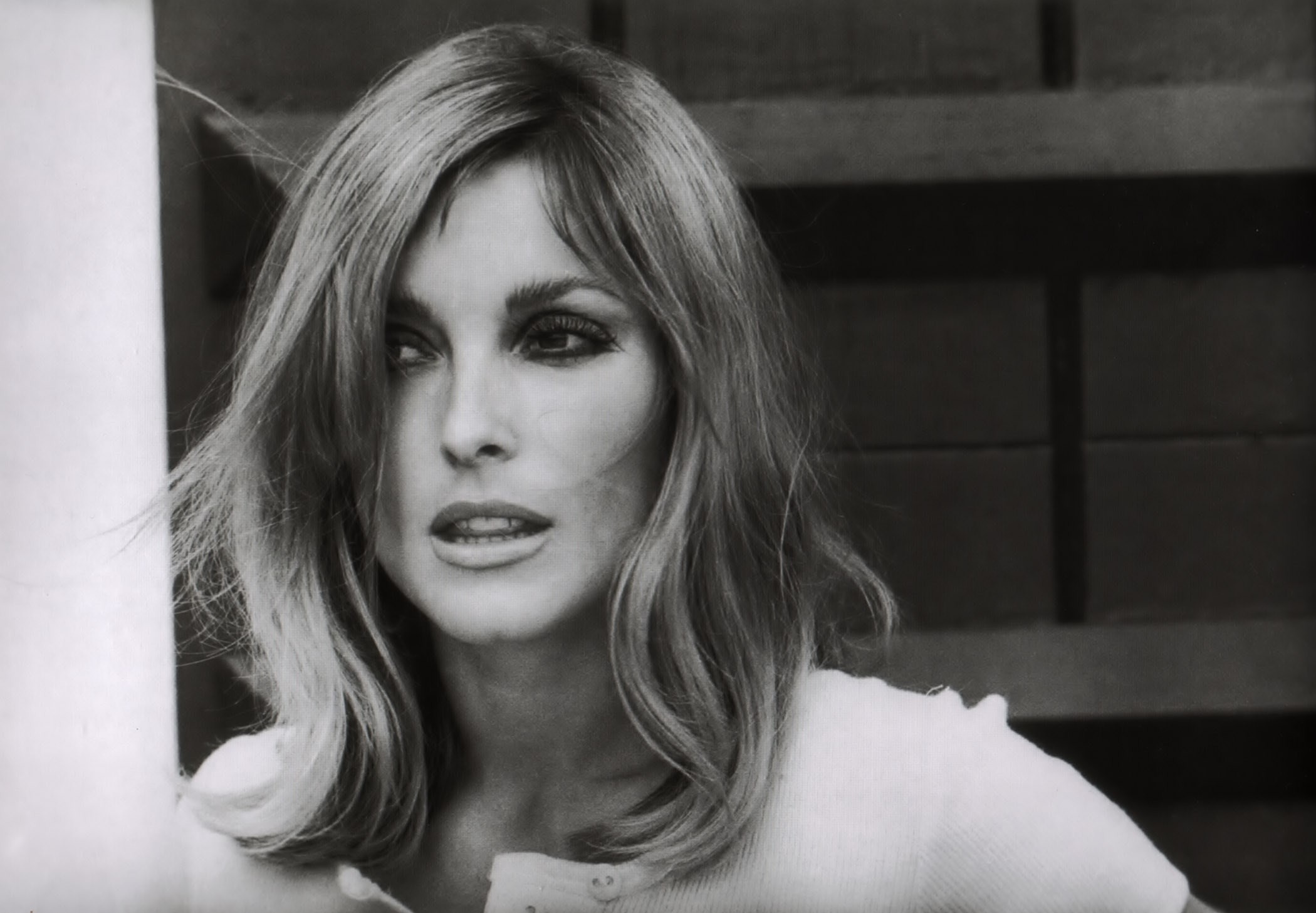 Sharon Tate Wallpaper