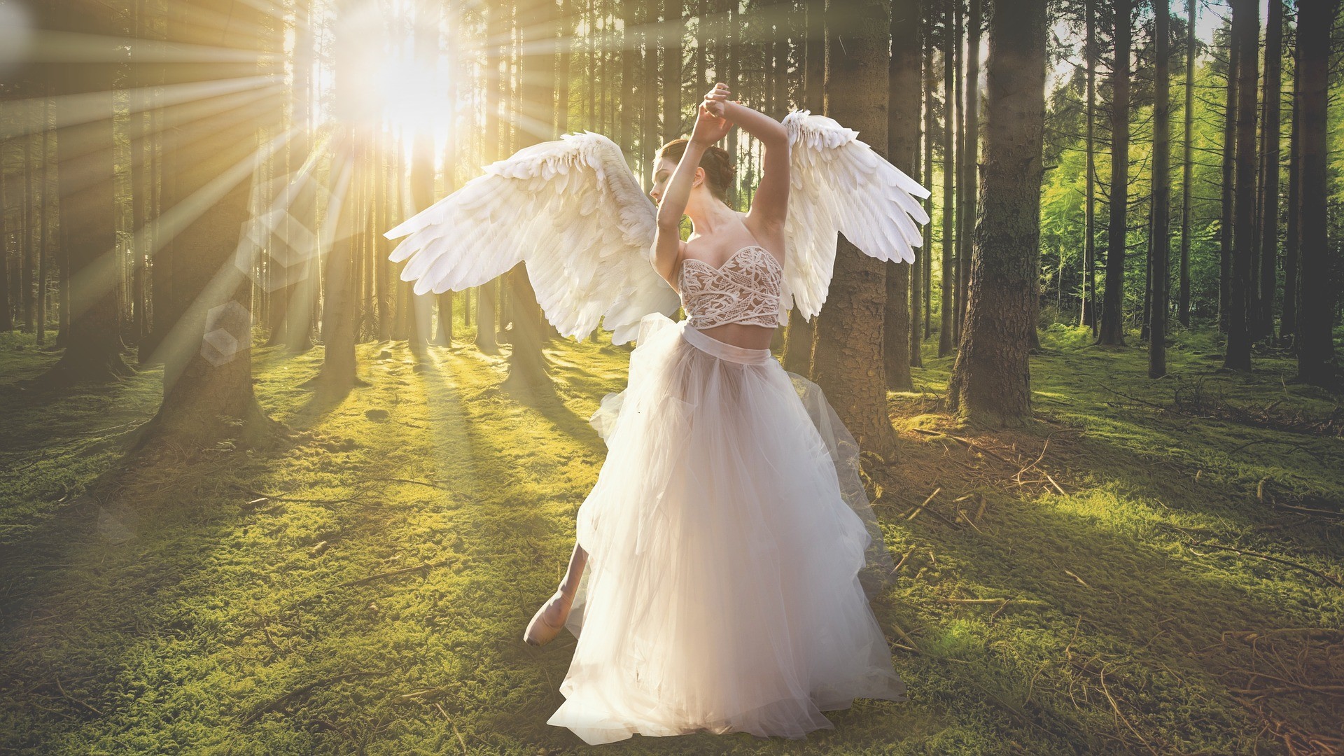 A ballerina dressed as an angel dances in a sun-drenched forest, creating a magical and ethereal atmosphere