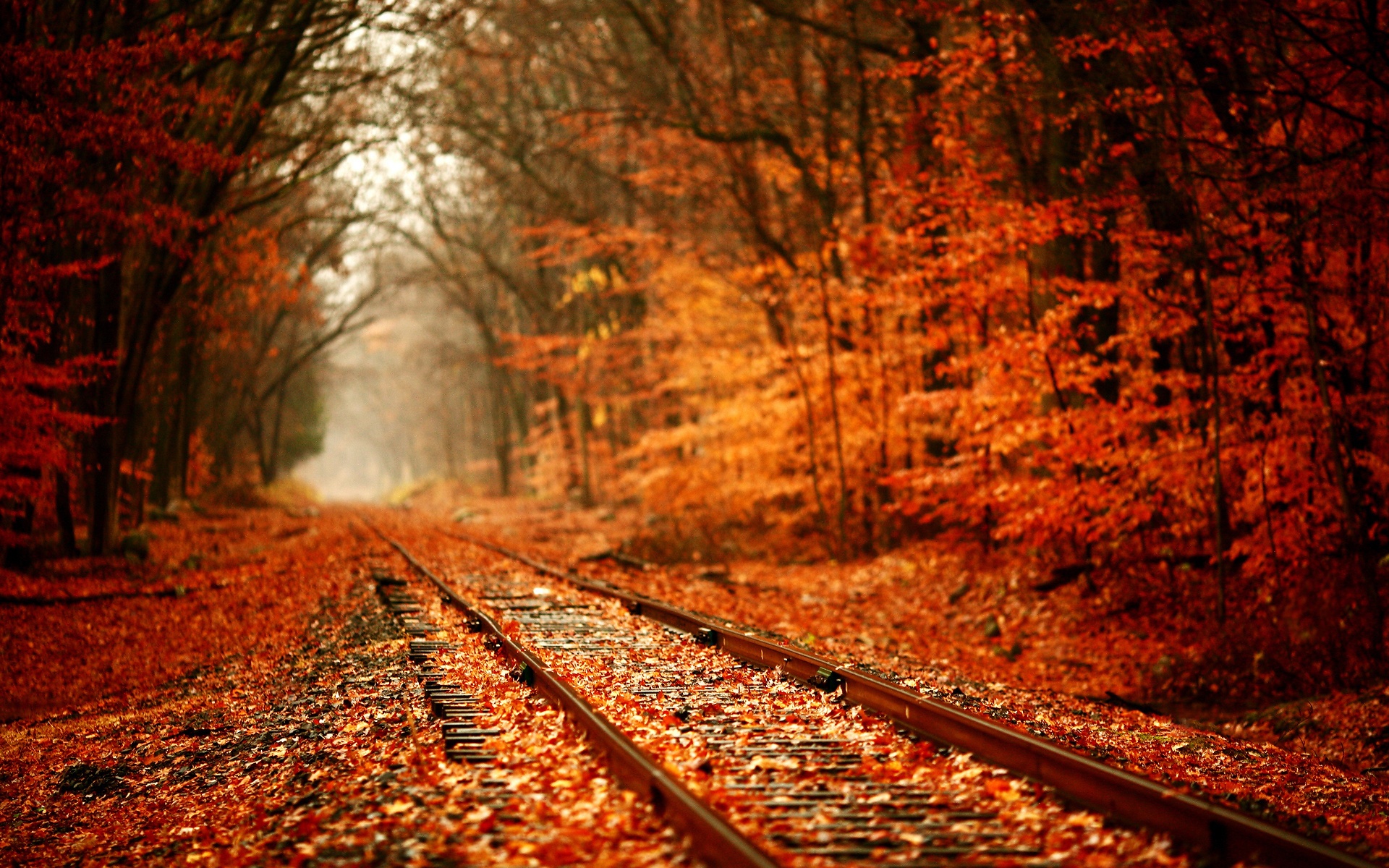 Awesome And Beautiful Autumn Wallpaper