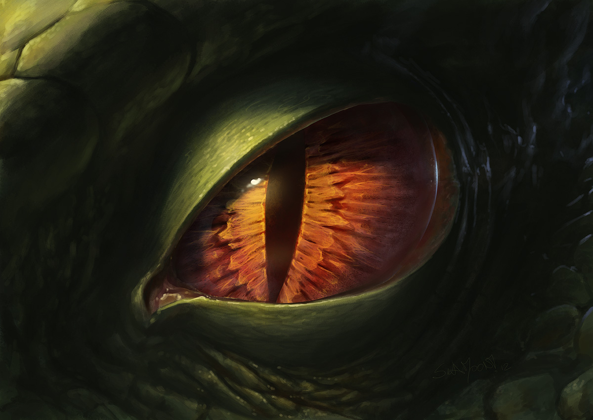 Dragon Eye By Sulamoon