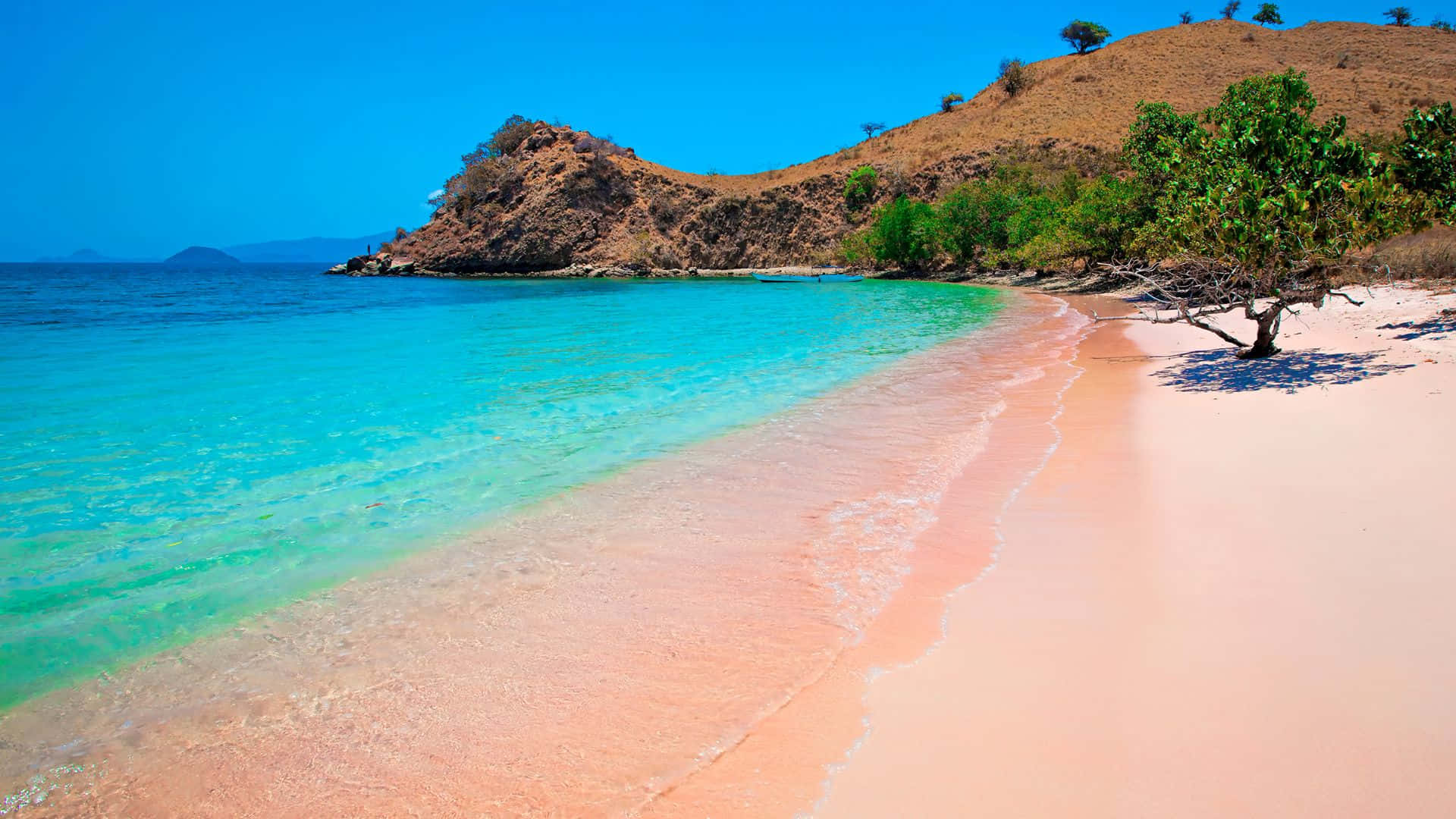 Pink Beach Wallpaper