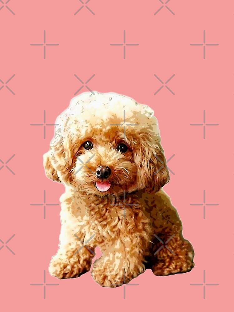 Mini Poodle Toy Cute Puppy Dog iPhone Case For Sale By