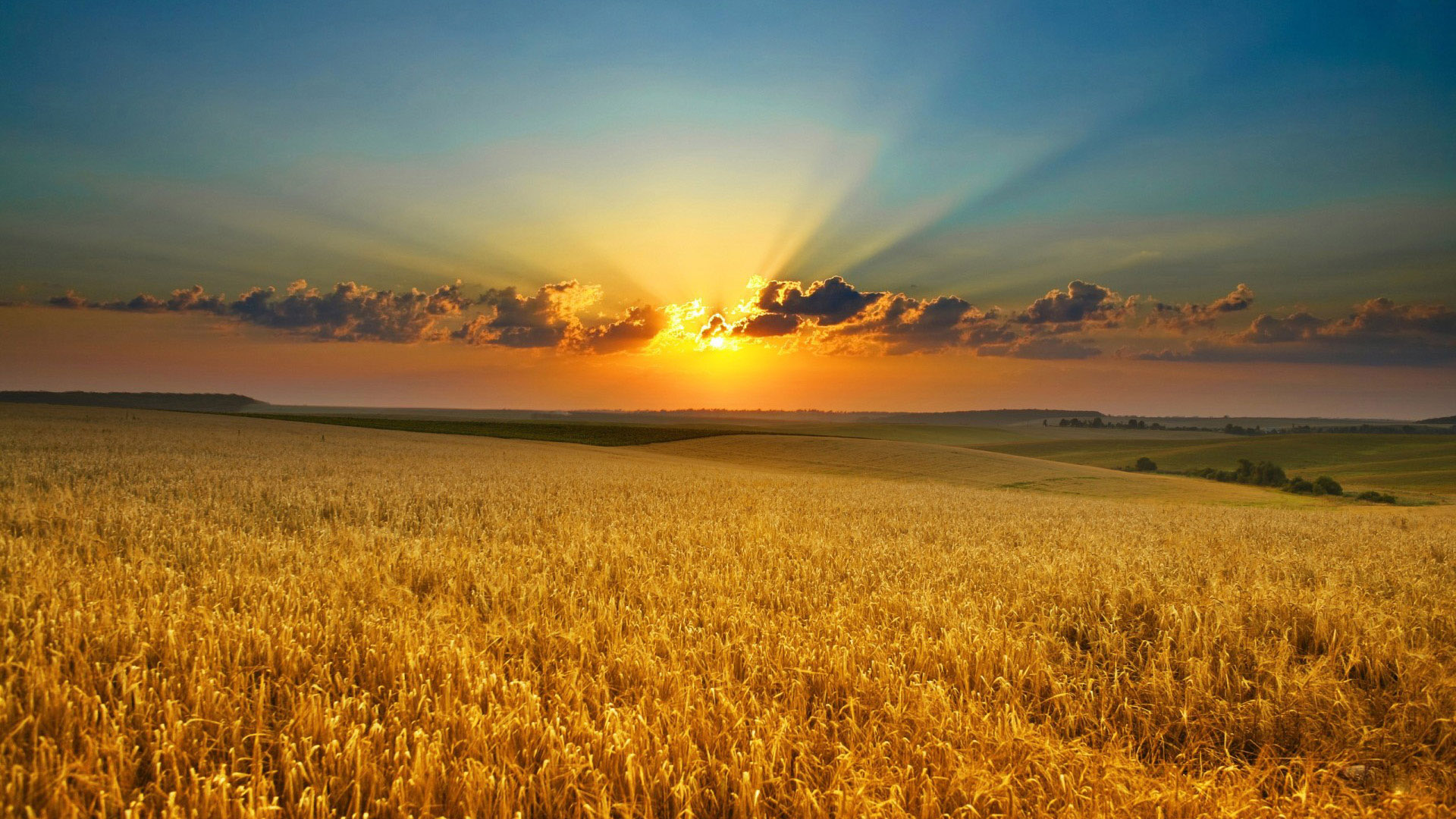 Farming Backgrounds Download 1920x1080